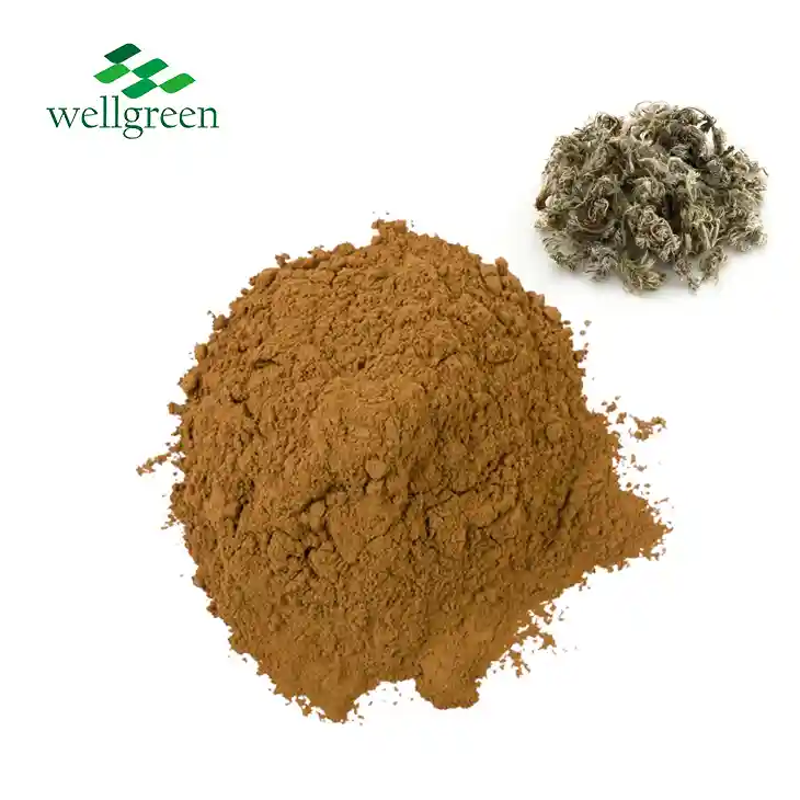 Capillary Wormwood Extract